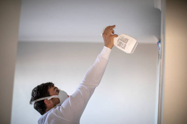 Best Mold Removal Specialists  in New Cordell, OK